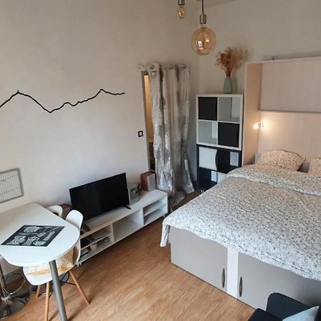 Studio Lumineux Au Centre Ville Bagnères-de-Bigorre Zewnętrze zdjęcie